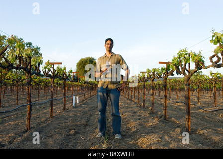 Mann in Wein Weinberg Stockfoto