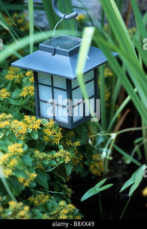 EINE KLEINE LATERNE IN JAPANISCH INSPIRIERTER GARTEN UMGEBEN VON SEDUM UND ROHRKOLBEN IN MINNESOTA.  SOMMER. Stockfoto