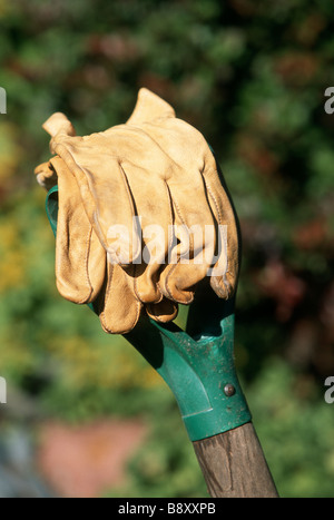 LEDER ARBEITSHANDSCHUHE AUF SCHAUFEL GRIFF IN MINNESOTA GARTEN.  SOMMER. Stockfoto