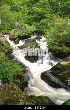 Wasserfälle am Fluss Marteg. Gilfach Farm Nature Reserve, ein Radnorshire Wildlife Trust Naturschutzgebiet in der Nähe von Rhayader, Powys, Wales. Stockfoto