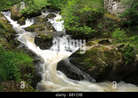 Wasserfälle am Fluss Marteg. Gilfach Farm Nature Reserve, ein Radnorshire Wildlife Trust Naturschutzgebiet in der Nähe von Rhayader, Powys, Wales. Stockfoto