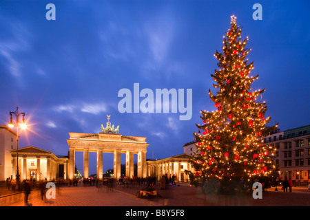 Weihnachtsbaum im Pariser Platz und Brandenburger Tor Berlin Germay Stockfoto
