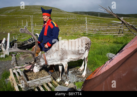 Sami tribal Mann stehend neben ein Rentier, Honningsvag, Mageroya Island, Nordkap, Finnmark County, Norwegen Stockfoto