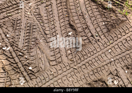 Track Reifenspuren im Schlamm Stockfoto