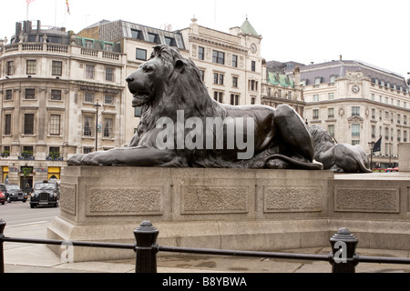 Lion Statue auf dem Trafalgar Square, London geformt von Sir Edwin Landseer. Stockfoto