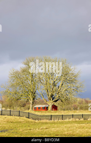 einem alten Schuppen in einem Feld Stockfoto