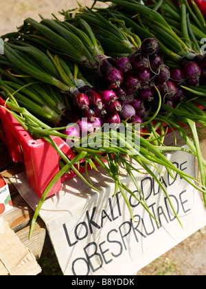 Verkauf von lokal produzierten und biologisch angebaute Gemüse Öland Schweden. Stockfoto