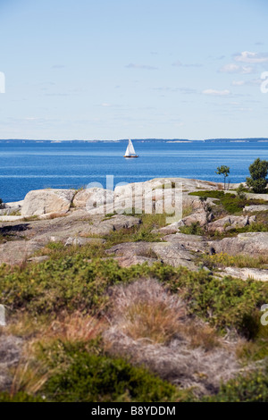 Felsen in den Stockholmer Schären in Schweden. Stockfoto