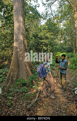 Führung im Royal Chitwan Nationalpark Sauraha Nepal Stockfoto