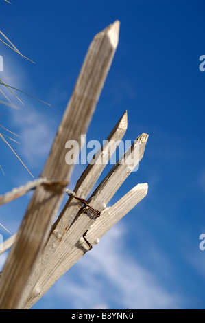 verwitterte Sandstrand Zäune vor einem blauen Himmel an der Küste von Devon, Großbritannien Stockfoto