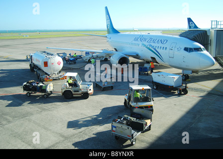 Air New Zealand Aircraft, Inlandsterminal, Auckland International Airport, Mangere, Auckland, Nordinsel, Neuseeland Stockfoto