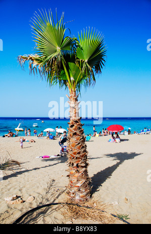 Strandleben in Fig Tree Bay in Protaras Zypern Stockfoto