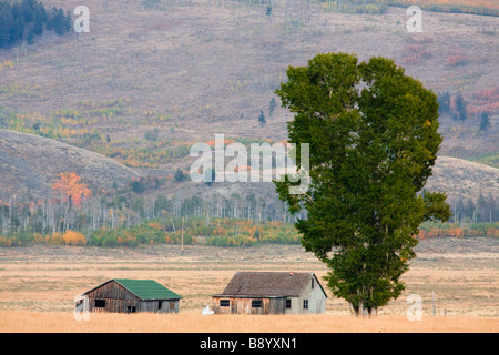 Landschaft der verlassenen Häuser Scheunen im Antelope Flats, Jackson Hole, Wyoming, USA Stockfoto