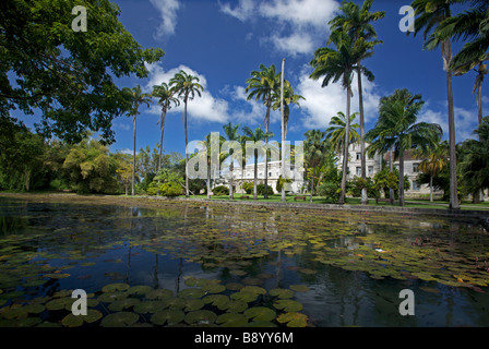 Seerosenteich Codrington College, die älteste anglikanische theologische Hochschule in der westlichen Hemisphäre, Barbados, "West Indies" Stockfoto