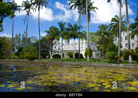 Seerosenteich Codrington College, die älteste anglikanische theologische Hochschule in der westlichen Hemisphäre, Barbados, "West Indies" Stockfoto