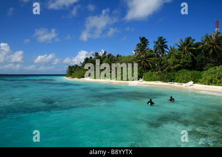 Tauchen im Paradies. Foto von Kim Craig. Stockfoto