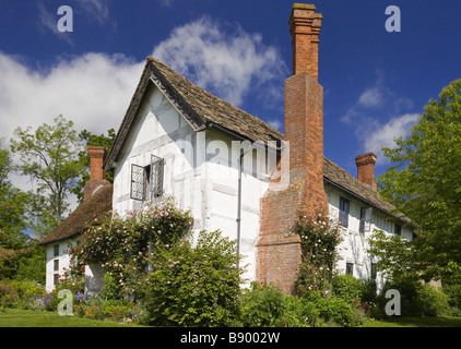 Ein Kamin dominiert das Unterhaus Brockhampton das mittelalterliche Herrenhaus auf dem Brockhampton Anwesen in Herefordshire Stockfoto