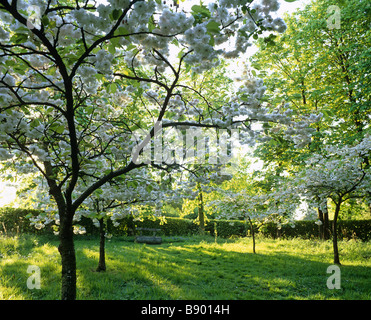 Ostern-Kapelle in Whipsnade Baum Kathedrale, Bedfordshire im Frühjahr Stockfoto