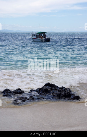 Isla Bolaños, Golfo de Chiriquí, Provinz Chiriquí, Panama Stockfoto