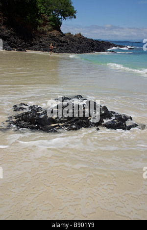 Isla Bolaños, Golfo de Chiriquí, Provinz Chiriquí, Panama Stockfoto