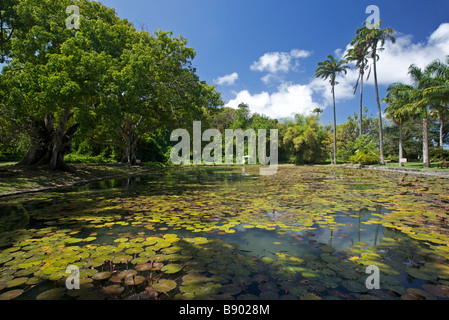 Seerosenteich Codrington College, die älteste anglikanische theologische Hochschule in der westlichen Hemisphäre, Barbados, "West Indies" Stockfoto