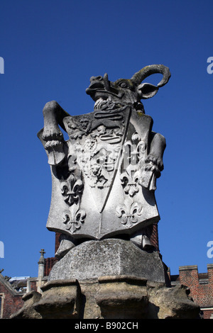 Der König der Tiere. Foto von Kim Craig. Stockfoto