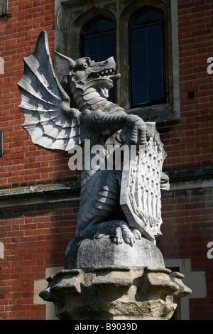 Der König der Tiere. Foto von Kim Craig. Stockfoto