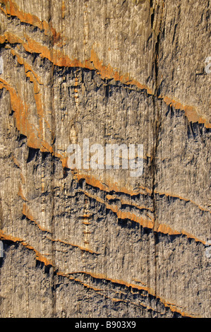 Nahaufnahme von Stein Textur Stockfoto
