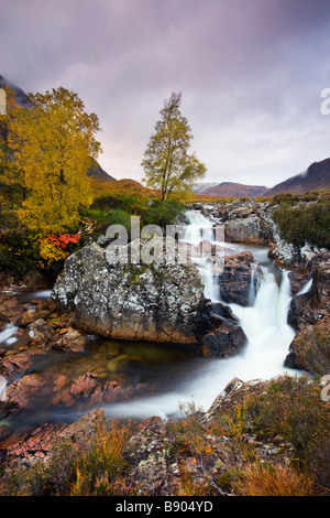 Herbstfärbung neben dem Fluß Etive in Glen Etive Highlands Schottland Stockfoto