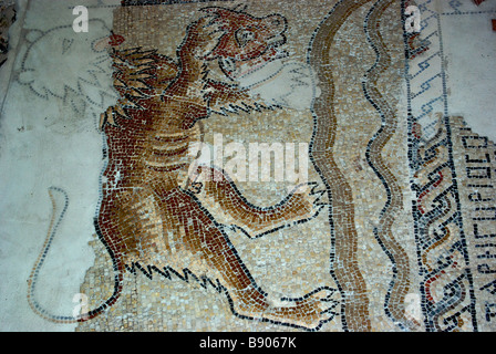 Bunte Sternzeichen Mosaik Wiederaufbau in vor kurzem ausgegrabene jüdische Synagoge von Zippori oder Sepphoris Lehrhäuser antiken Stadt Stockfoto