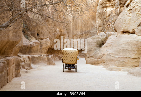 Ein Pferd und Wagen macht seinen Weg durch den Siq am Eingang nach Petra, Jordanien Stockfoto