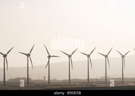 Windkraftanlagen der Kanarischen Inseln. Stockfoto