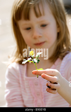 Ein kleines Mädchen mit einer Blume Schweden. Stockfoto