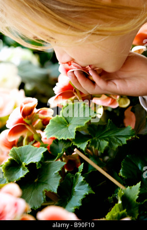 Ein kleines Mädchen mit einer Blume Schweden. Stockfoto