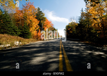 Laub gesäumten Straße, Cadillac Mountain, Acadia National Park, Maine, New England, USA Stockfoto