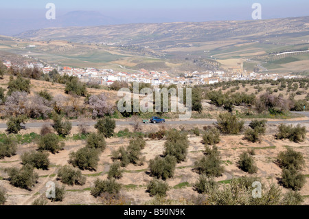 Oliven- und Mandelbäume Kulturlandschaft in der Nähe von Alhama de Granada Sierra Tejeda Andalusien Südspanien Stockfoto