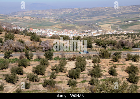 Oliven- und Mandelbäume Kulturlandschaft in der Nähe von Alhama de Granada Sierra Tejeda Andalusien Südspanien Stockfoto