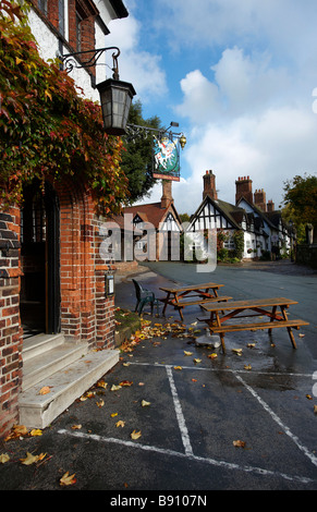 Herbst am großen Budworth Nr Northwich Cheshire UK Stockfoto