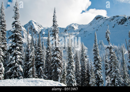 Mount Mackenzie über Nord-Schüssel, Revelstoke Mountain Resort Revelstoke, British Columbia, Kanada. Stockfoto