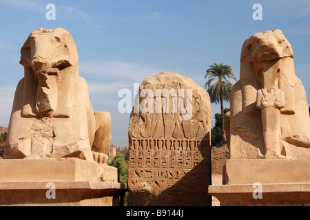 Avenue of [Ram geleitet] Sphinxen und antiken ägyptischen Hieroglyphen eingraviert auf geschnitzten Steintafel, Karnak Tempel, Luxor, Ägypten Stockfoto