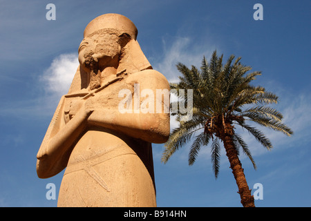 Kolossale Stein geschnitzte Statue des Pharao Ramses II. und hohen Palme gegen blauen Himmel, Karnak Tempel, Luxor, Ägypten Stockfoto