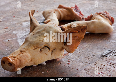 Kopf der enthaupteten Schweine und Traber auf Menghun Stammes-Markt, Yunnan, China Stockfoto