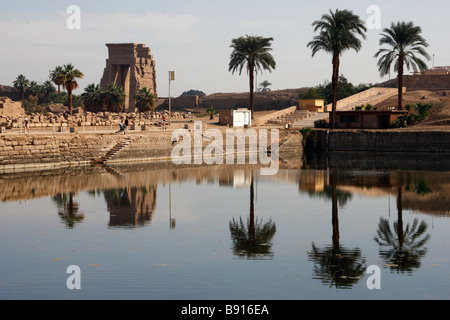 Palmen spiegelt sich im Wasser des Heiligen See, Karnak Tempel, Luxor, Ägypten, Nord-Afrika Stockfoto