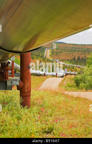 Foto von der Unterseite der Alaska-Pipeline nach es heraus durch den Herbst farbige Tundra. Stockfoto