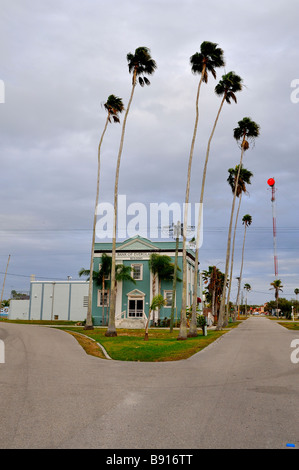 Bank der Everglades. Stockfoto