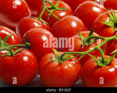 Frische reife Strauchtomaten Stockfoto