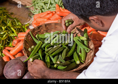 Shopping für Okra (Ladys Finger) auf einem lokalen Markt Goan Stockfoto
