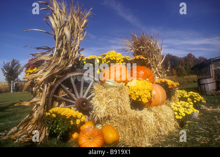 Hülle und Fülle Stockfoto