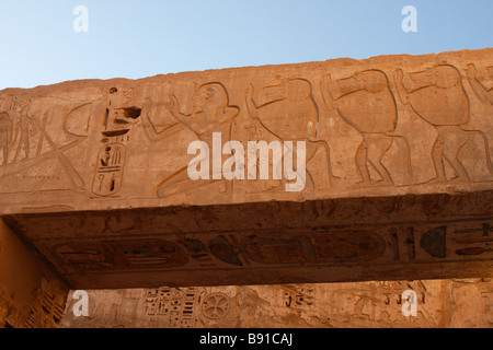 Relief zeigt Pharao Ramses III und Paviane verehren Sonnengott [Medinet Habu] Totentempel, "West Bank", Luxor, Ägypten Stockfoto