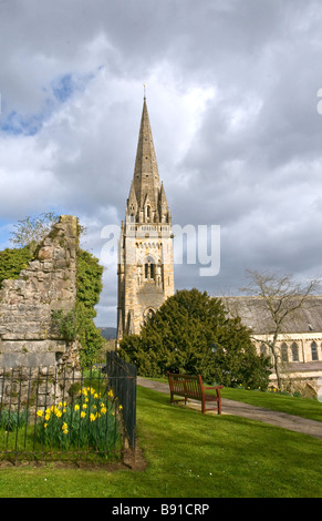 Llandaff Cathedral Cardiff im Frühjahr mit sonnigem Wetter, gelbe Narzissen zeigt Teil der Ruinen der alten Glockenturm Stockfoto